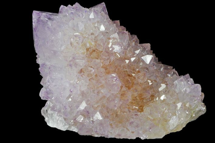 Cactus Quartz (Amethyst) Crystals - South Africa #132474